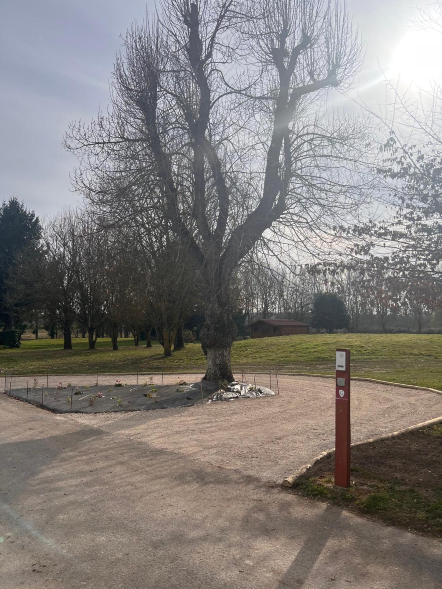 Golf Hotel De La Carte Chouzy-sur-Cisse Luaran gambar